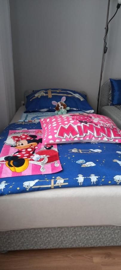 Anker Silver Dream Kaposvár Kültér fotó